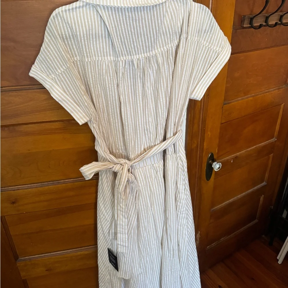 Lulu's Cream and Light Beige Striped Midi Dress - Picture 5 of 8